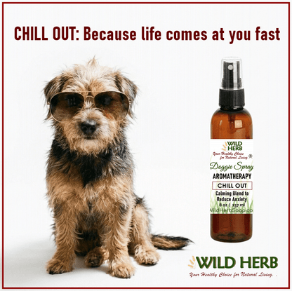 Aurojas - category - Chill Out Dog Between Bath Spritz Calming Spray Natural Oils -