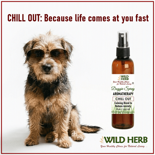 Aurojas - category - Chill Out Dog Between Bath Spritz Calming Spray Natural Oils -