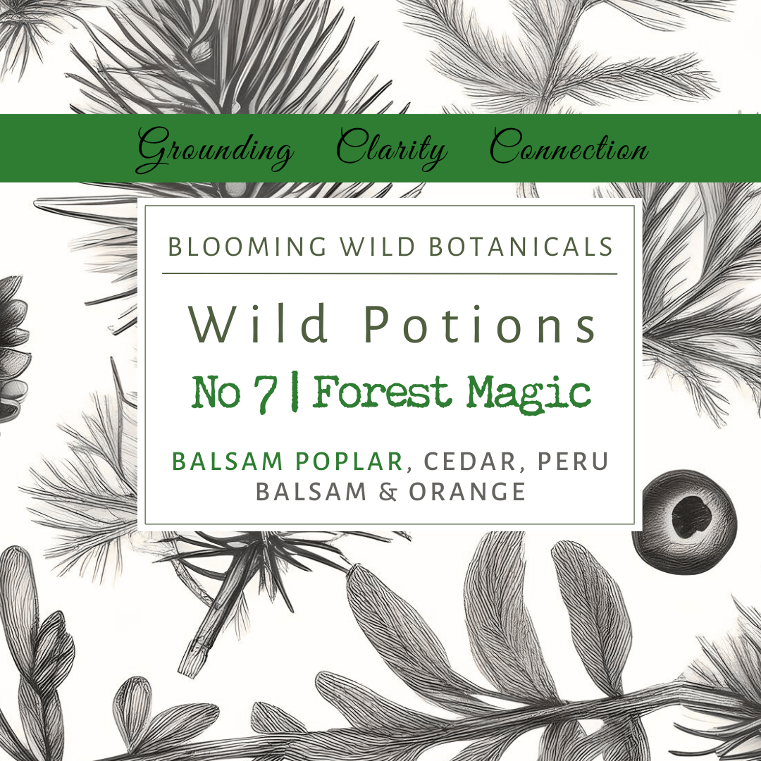 Aurojas - category - Forest Magic Aromatherapy Potion No 7 - 